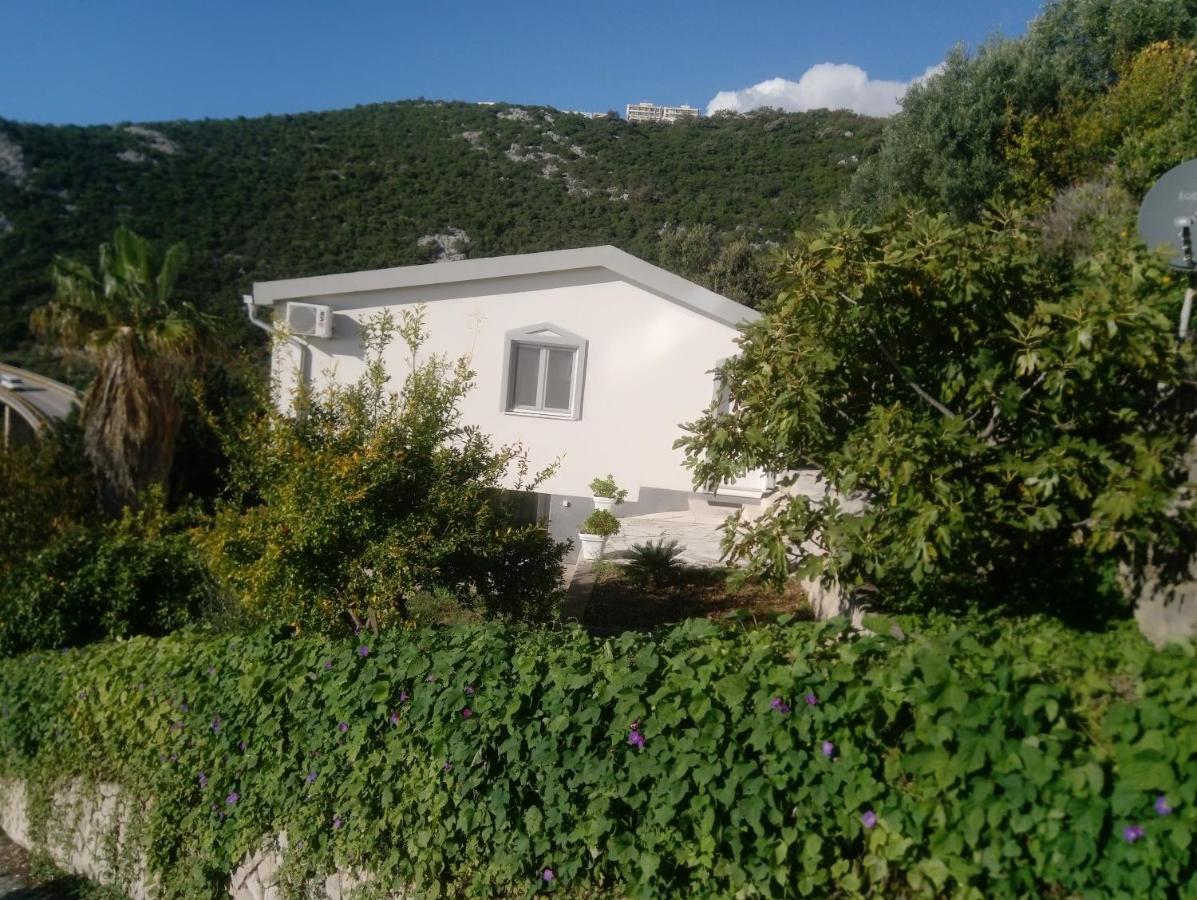 Blue Horizon Apartment Dobra Voda Exterior photo
