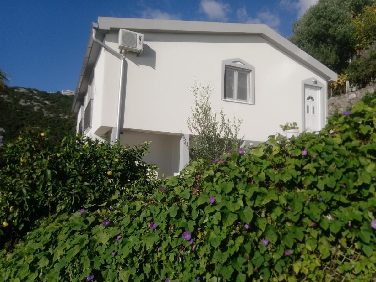 Blue Horizon Apartment Dobra Voda Exterior photo