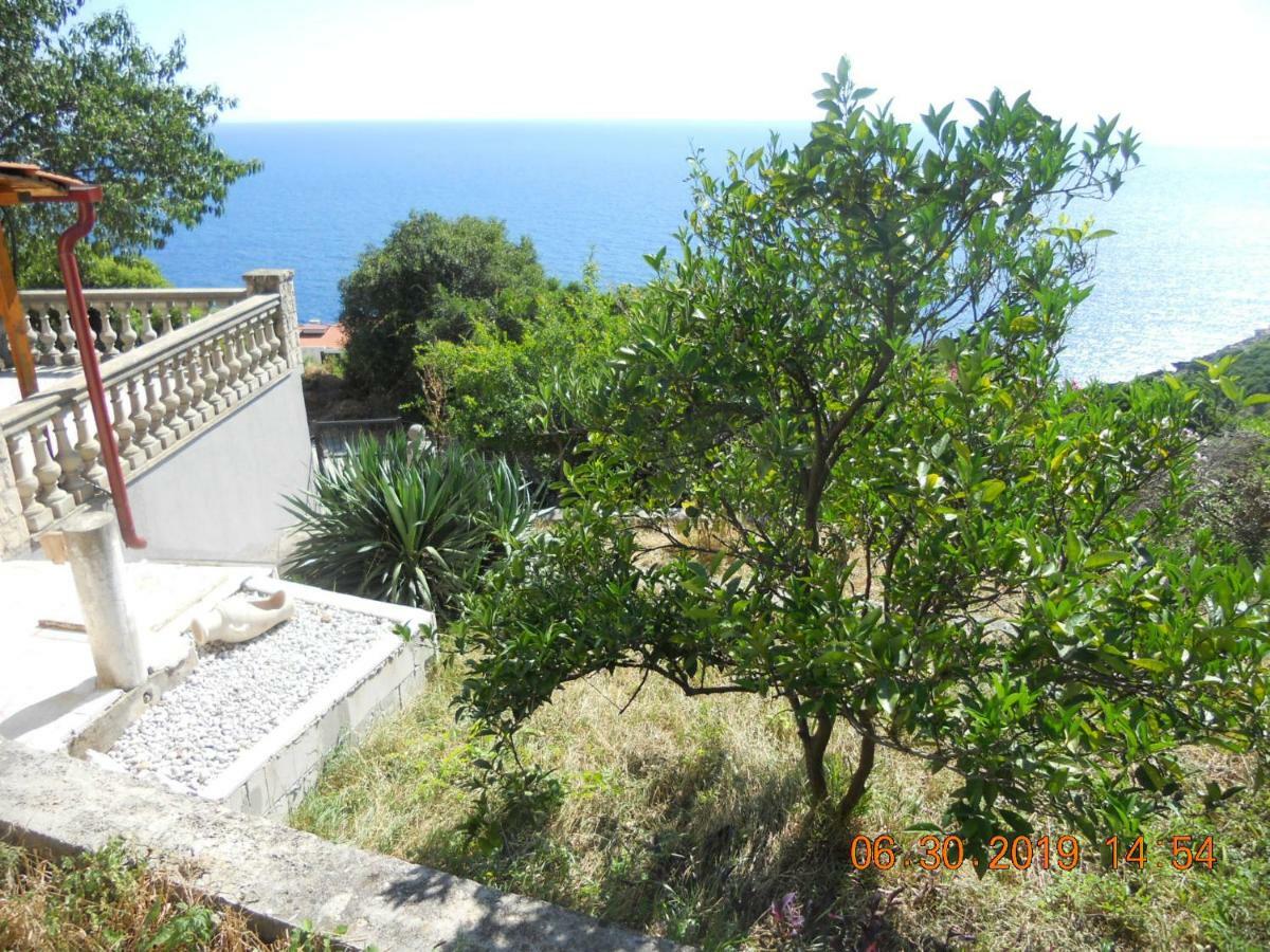 Blue Horizon Apartment Dobra Voda Exterior photo
